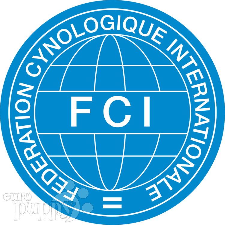 Complete List of the FCI Dog Breed Groups