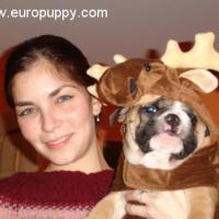 Frankie - Bulldogge, Euro Puppy Referenzen aus United States