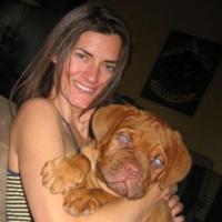 Arthur - Dogue de Bordeaux, Euro Puppy review from United States