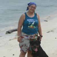 Gold - Rottweiler, Euro Puppy Referenzen aus Bahamas