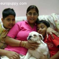Carina - Bulldog, Referencias de Euro Puppy desde India
