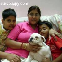 Carina - Bulldog, Euro Puppy review from India