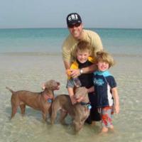 Luca - Weimaraner, Euro Puppy Referenzen aus United Arab Emirates