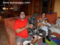 Conery - Mastino Neapolitano, Euro Puppy review from Spain
