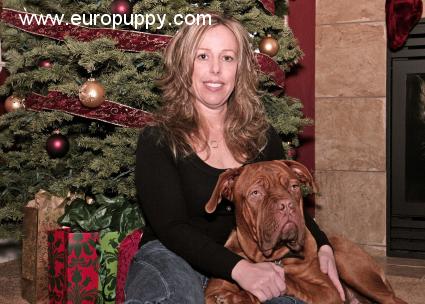 Bosco - Dogue de Bordeaux, Euro Puppy review from United States