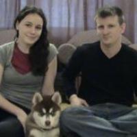 Igloo - Siberian Husky, Euro Puppy review from Germany