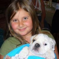 Solomon - Miniature English Bulldog, Euro Puppy review from United States