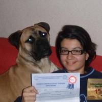 Adelina - Bullmastiff, Euro Puppy review from Cyprus