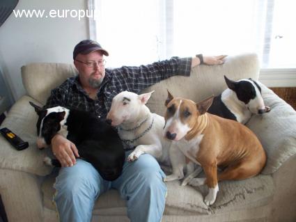 Mystery - Bull Terrier, Euro Puppy review from Canada