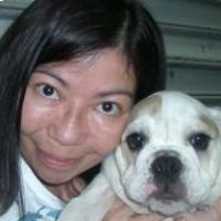 Anetta - Bulldog, Euro Puppy review from Malaysia