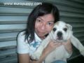 Anetta - Bulldogge, Euro Puppy review from Malaysia