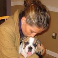Henry - Miniature English Bulldog, Euro Puppy review from United States