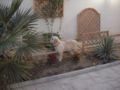 Rosie - Golden Retriever, Referencias de Euro Puppy desde Qatar