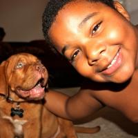 Conan - Dogue de Bordeaux, Euro Puppy review from United States