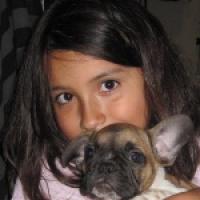 Godion - French Bulldog, Euro Puppy review from United States