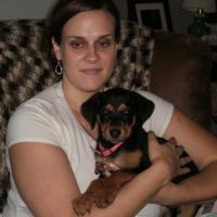 Ilka - Transylvanian Hound, Euro Puppy review from United States