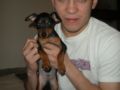 Ali - Pinscher Miniatura, Euro Puppy review from Italy