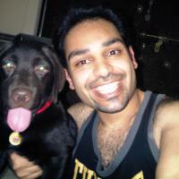 Jasmine - Labrador Retriever, Euro Puppy Referenzen aus Bahrain