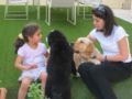 Ubul - Perro de Montana Barnés, Euro Puppy review from Kuwait