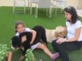 Ubul - Bernese Mountain Dog, Euro Puppy review from Kuwait