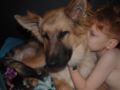 Dragon - German Shepherd Dog, Euro Puppy review from Italy