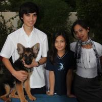 Eris - German Shepherd Dog, Euro Puppy review from United Arab Emirates