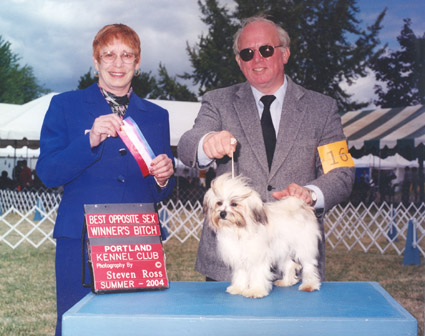 Longfur Hedda - Havaneser, Euro Puppy Referenzen aus United States