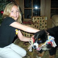 Zane - Bernese Mountain Dog, Euro Puppy review from United States