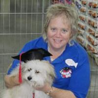 Sammi - Havanese, Euro Puppy review from United States