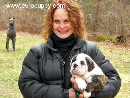 Victoria - Bulldogge, Euro Puppy review from United States