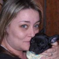 Meggie - French Bulldog, Euro Puppy review from United States