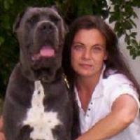 Congo - Cane Corso, Referencias de Euro Puppy desde United States