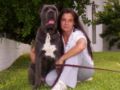 Congo - Cane Corso, Euro Puppy review from United States