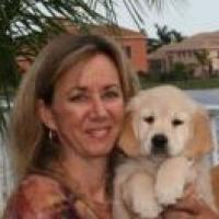 Zoe - Golden Retriever, Referencias de Euro Puppy desde United States