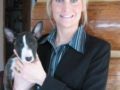 Mario - Mini Bullterrier, Euro Puppy review from United States