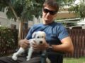 Coco - Schnauzer Miniatura, Euro Puppy review from Qatar