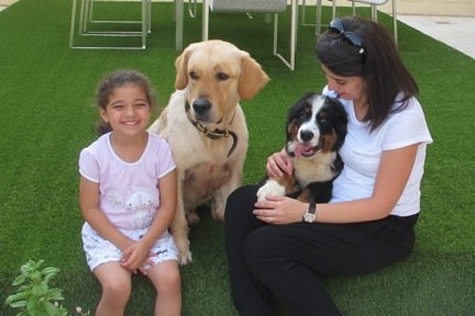 Ubul - Berner Sennenhund, Euro Puppy Referenzen aus Kuwait