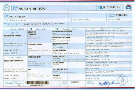 kennel club export pedigree