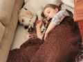 Hide-and-Seek - Labrador Retriever, Euro Puppy Referenzen aus Oman