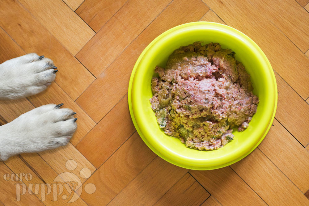 Dog Food Toppers: Everything You Need to Know