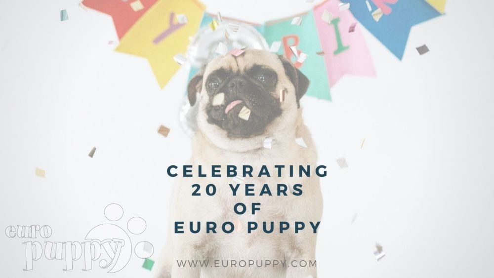 Euro Puppy at 20!