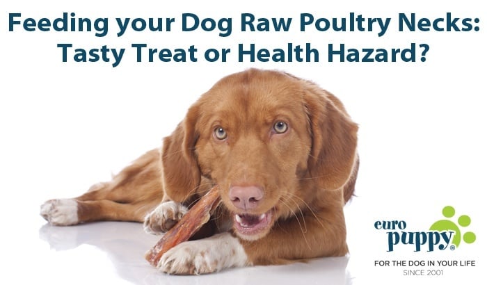 Feeding your Dog Raw Poultry Necks: Tasty Treat or Health Hazard?