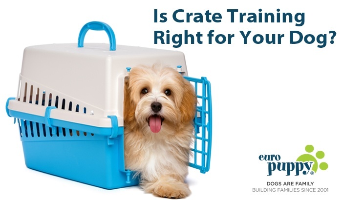 Crate Training Your Dog or puppy. The Pros and Cons